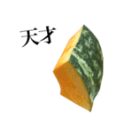 国産かぼちゃ（個別スタンプ：21）