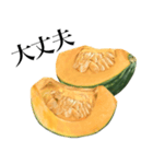 国産かぼちゃ（個別スタンプ：22）