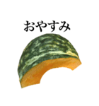 国産かぼちゃ（個別スタンプ：24）