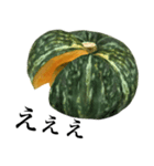 国産かぼちゃ（個別スタンプ：25）