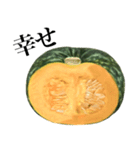 国産かぼちゃ（個別スタンプ：27）