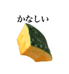 国産かぼちゃ（個別スタンプ：30）