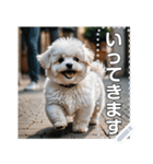 可愛い子犬のメッセージスタンプ（個別スタンプ：1）