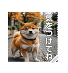 可愛い子犬のメッセージスタンプ（個別スタンプ：2）