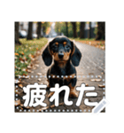 可愛い子犬のメッセージスタンプ（個別スタンプ：7）