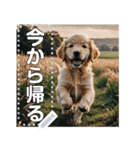 可愛い子犬のメッセージスタンプ（個別スタンプ：8）