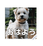 可愛い子犬のメッセージスタンプ（個別スタンプ：9）