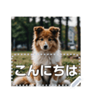 可愛い子犬のメッセージスタンプ（個別スタンプ：10）