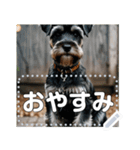 可愛い子犬のメッセージスタンプ（個別スタンプ：11）