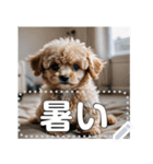 可愛い子犬のメッセージスタンプ（個別スタンプ：16）