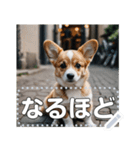 可愛い子犬のメッセージスタンプ（個別スタンプ：18）