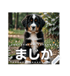 可愛い子犬のメッセージスタンプ（個別スタンプ：19）