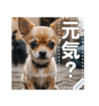 可愛い子犬のメッセージスタンプ（個別スタンプ：20）