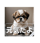 可愛い子犬のメッセージスタンプ（個別スタンプ：21）