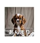 可愛い子犬のメッセージスタンプ（個別スタンプ：22）