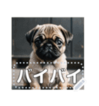 可愛い子犬のメッセージスタンプ（個別スタンプ：24）