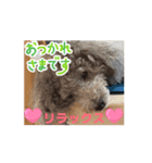 動く！可愛い クリシェ2025.10（個別スタンプ：4）