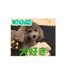 動く！可愛い クリシェ2025.10（個別スタンプ：5）
