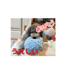 動く！可愛い クリシェ2025.10（個別スタンプ：6）
