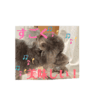 動く！可愛い クリシェ2025.10（個別スタンプ：7）
