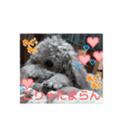 動く！可愛い クリシェ2025.10（個別スタンプ：8）