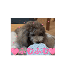 動く！可愛い クリシェ2025.10（個別スタンプ：9）