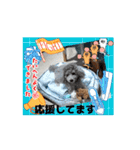 動く！可愛い クリシェ2025.10（個別スタンプ：12）