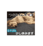 動く！可愛い クリシェ2025.10（個別スタンプ：14）