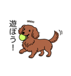 名前入りダックスロングレッド②（個別スタンプ：1）