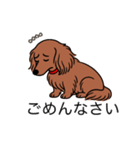 名前入りダックスロングレッド②（個別スタンプ：2）
