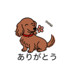 名前入りダックスロングレッド②（個別スタンプ：5）