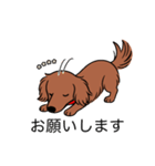 名前入りダックスロングレッド②（個別スタンプ：7）