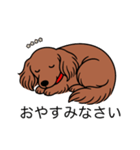名前入りダックスロングレッド②（個別スタンプ：9）
