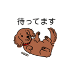 名前入りダックスロングレッド②（個別スタンプ：10）