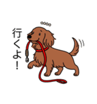名前入りダックスロングレッド②（個別スタンプ：11）