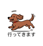 名前入りダックスロングレッド②（個別スタンプ：13）