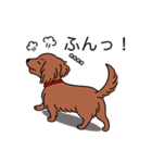 名前入りダックスロングレッド②（個別スタンプ：14）