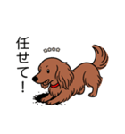 名前入りダックスロングレッド②（個別スタンプ：15）