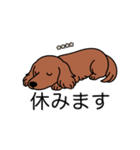 名前入りダックスロングレッド②（個別スタンプ：16）