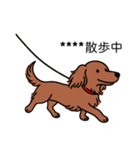 名前入りダックスロングレッド②（個別スタンプ：17）