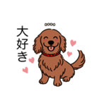 名前入りダックスロングレッド②（個別スタンプ：18）