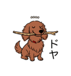 名前入りダックスロングレッド②（個別スタンプ：21）