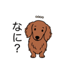 名前入りダックスロングレッド②（個別スタンプ：22）