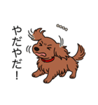 名前入りダックスロングレッド②（個別スタンプ：23）