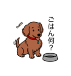 名前入りダックスロングレッド②（個別スタンプ：24）