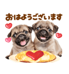 パグちゃん♡大好き（個別スタンプ：5）
