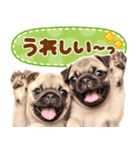 パグちゃん♡大好き（個別スタンプ：9）