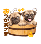 パグちゃん♡大好き（個別スタンプ：12）