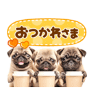 パグちゃん♡大好き（個別スタンプ：14）