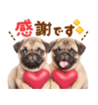 パグちゃん♡大好き（個別スタンプ：15）